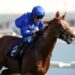 Al Shaqab Lockinge Stakes Tips, Trends & Analysis (20/05/23) - Godolphin can win record 9th time with Modern Games.