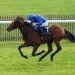 ITV Racing Tips (19/05/23)