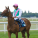 ITV Racing Tips (05/05/23) – It’s time for Charlton’s Lock to shine