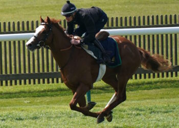 Dubai Mile horse image
