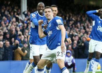 Seamus Coleman image