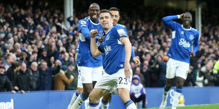 Seamus Coleman image