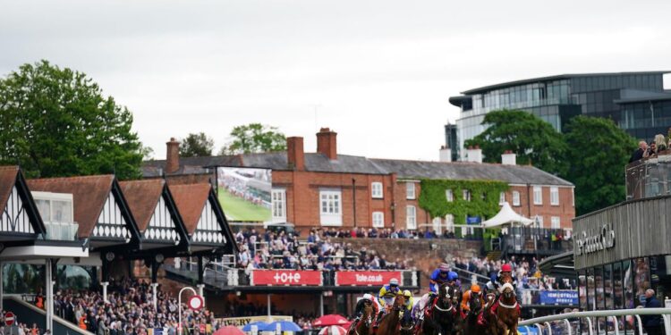 tote Chester Cup Tips, Trends & Analysis (12/05/2023) – Chester 15:15 – Bluff to Call the right tune with conditions to suit