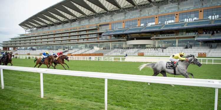 Copper Horse Handicap image