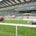 Copper Horse Handicap image