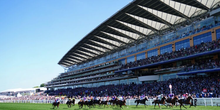 Coventry Stakes image