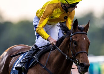Croupier image