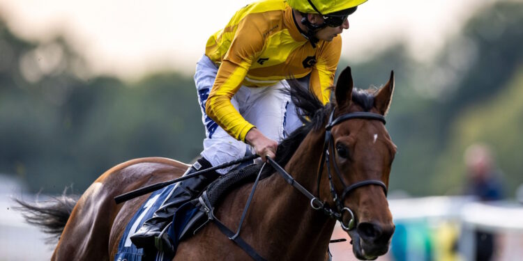 Croupier image