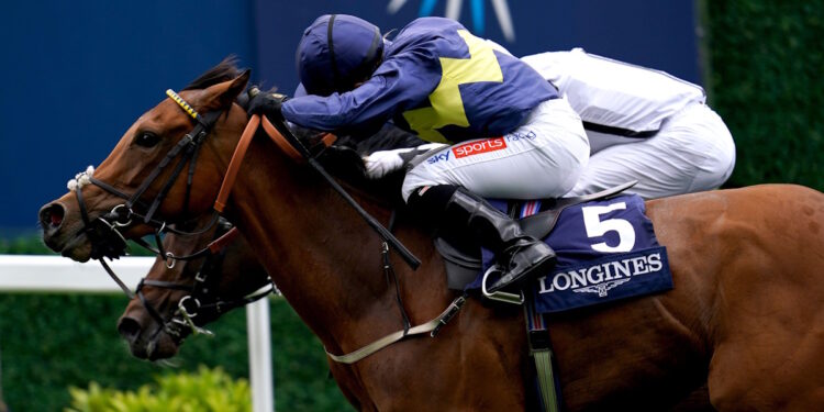 Jumbly horse image