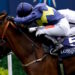 Jumbly horse image