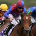 Luxembourg horse image