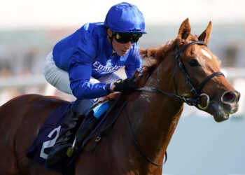 Modern Games horse image