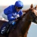 Modern Games horse image