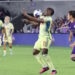 New York Red Bulls image