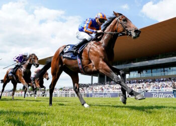 Paddington horse image