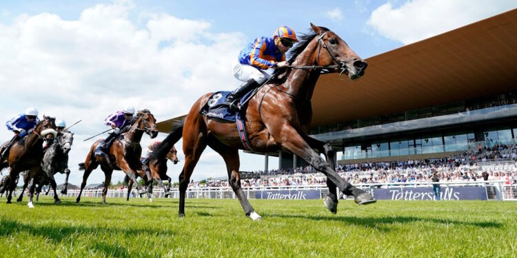 Paddington horse image