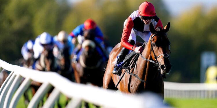 Poker Face horse image