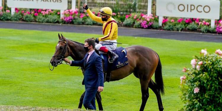 Queen Mary Stakes winner image