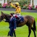 Queen Mary Stakes winner image