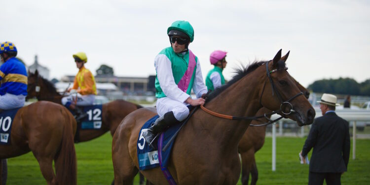 Time Lock horse image