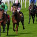 Vino Victrix horse image