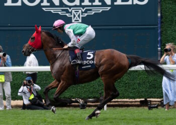 Westover horse image