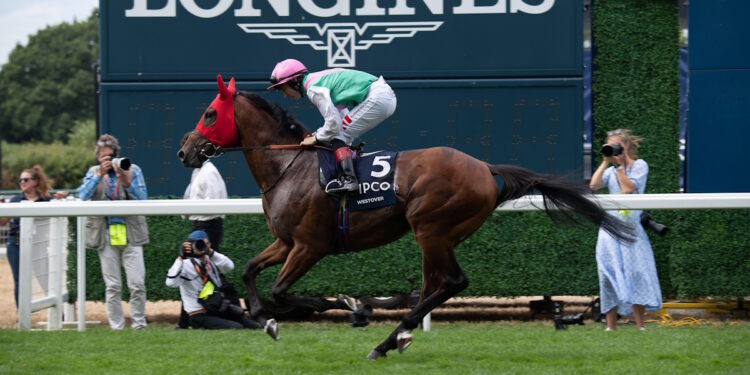 Westover horse image