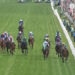 Epsom Derby image