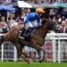Mr Wagyu horse image