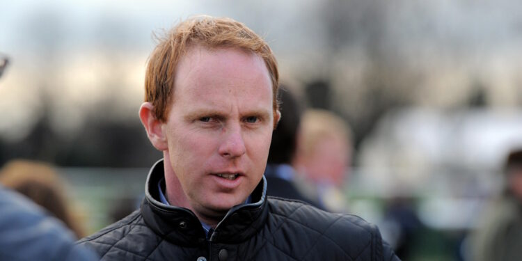 David O'Meara image