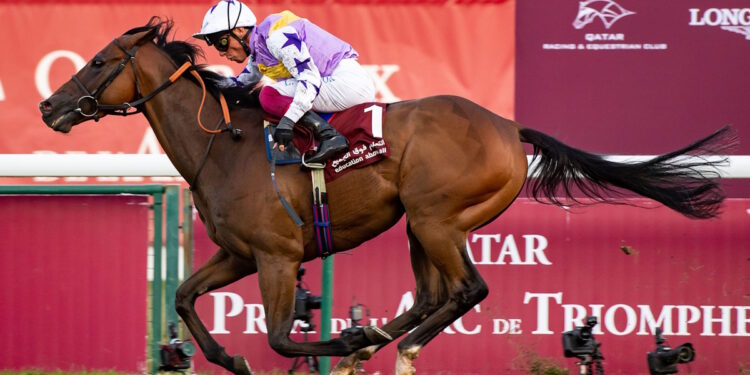 Kinross horse image