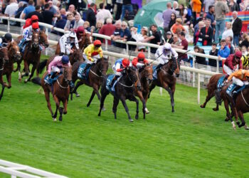 Streets Of Gold horse image