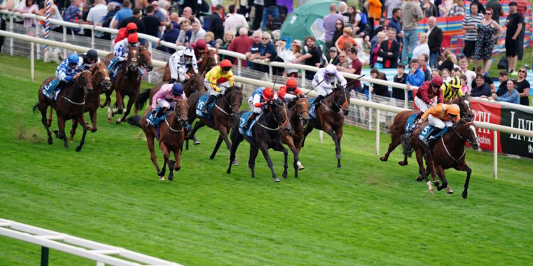 Streets Of Gold horse image