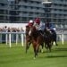 Baheer is one of our top ITV racing tips today.