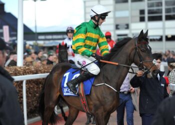 Galway Hurdle Tips - Filey Bay