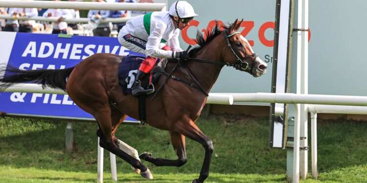 Free Wind horse image