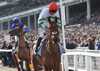 Tote Galway Plate Odds, Tips, and Analysis (02/08/23)
