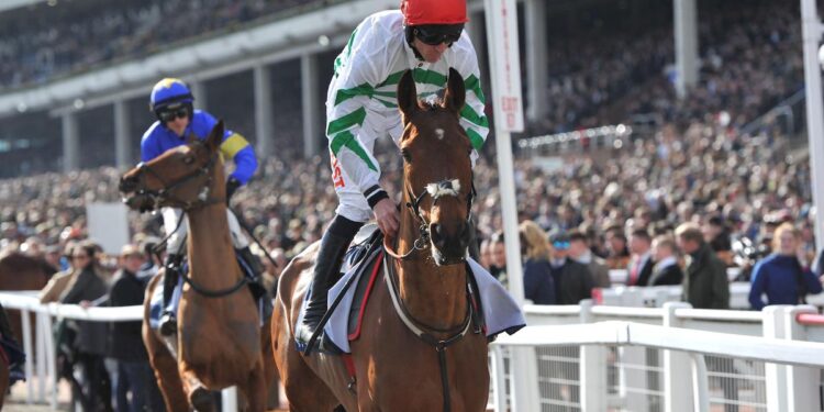 Tote Galway Plate Odds, Tips, and Analysis (02/08/23)