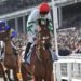 Tote Galway Plate Odds, Tips, and Analysis (02/08/23)
