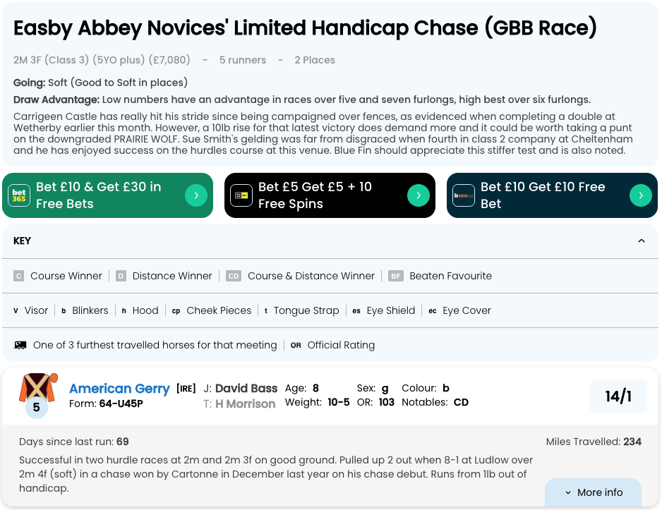 Learning how to read a racecard is fundamental to learning how to bet on Cheltenham