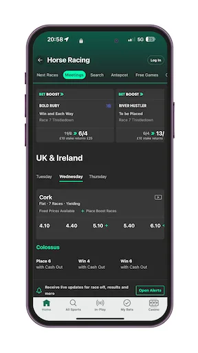 bet365-grand-national-bookie Grand National Bookie - bet365